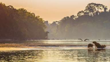 亚马逊河有多长,亚马逊河最深有多深-第1张图片