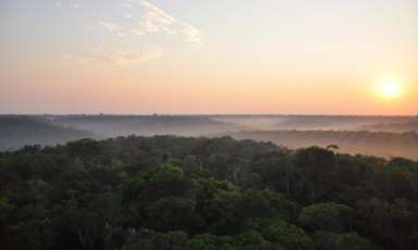 亚马逊河有多长,亚马逊河最深有多深-第27张图片