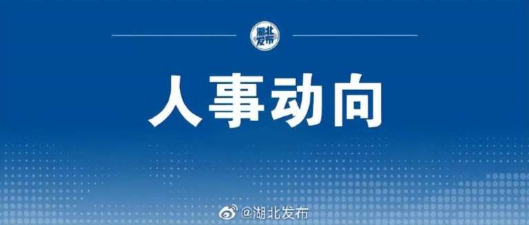 湖北省十三届人大常委会决定任命的名单