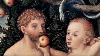 亚当和夏娃伊甸园的英语故事读后感