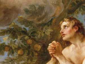 亚当和夏娃伊甸园的英语故事读后感