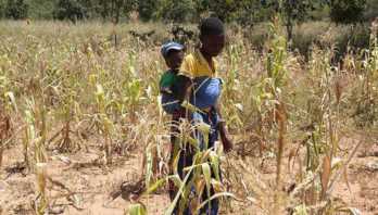津巴布韦出现粮食危机的原因