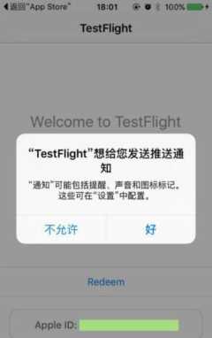 testflight邀请码怎么填写方法