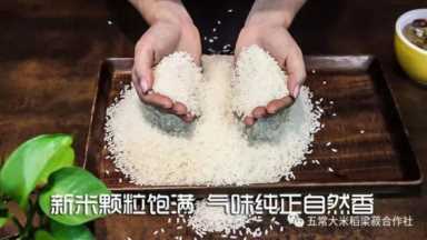 电饭煲怎么用视频教程蒸米饭