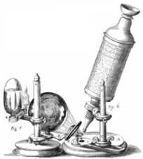 谁发明了显微镜（胡克发明的显微镜）