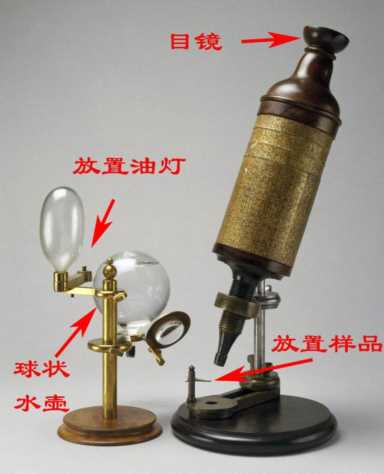 谁发明了显微镜（胡克发明的显微镜）