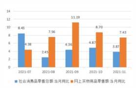 京东消费2021年消费现象及产业洞察报告总结
