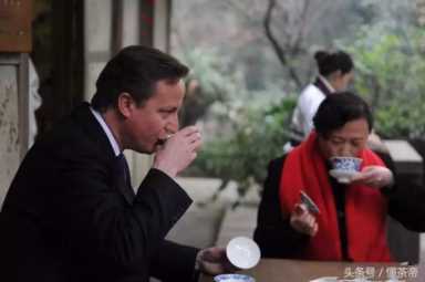 英国王子大婚礼白茶，为什么中国茶对世界影响深远