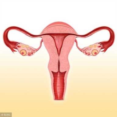 子宫后位受孕姿势图，子宫后位影响怀孕