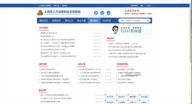 上海税务局发票查询，社保缴费记录查询