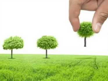 植树节的意义是什么，关于植树节的由来和意义