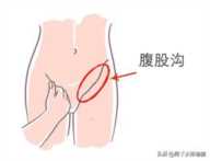 腹股沟的正确位置图片（打开腹股沟的方法）