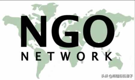 NGO组织是什么意思，公益ngo是什么意思(附2023年最新排行榜前十名单)