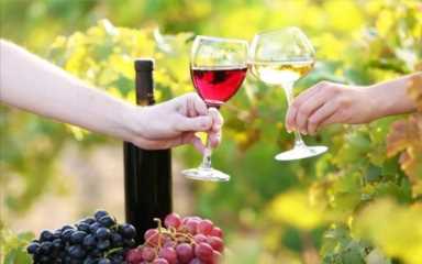 如何喝红酒 红酒的正确喝法（红酒怎么喝才是最正确的方法）(4)