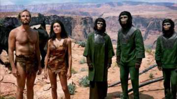 关于猩猩的电影有哪些（15部超好看的大猩猩电影）(4)