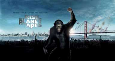 关于猩猩的电影有哪些（15部超好看的大猩猩电影）(7)