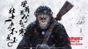 关于猩猩的电影有哪些（15部超好看的大猩猩电影）(9)