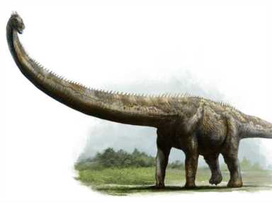 最大的恐龙是哪种恐龙（盘点史上体型最大的恐龙）