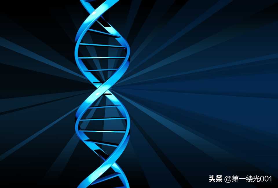 生物密码——DNA，DNA双螺旋结构及其特征