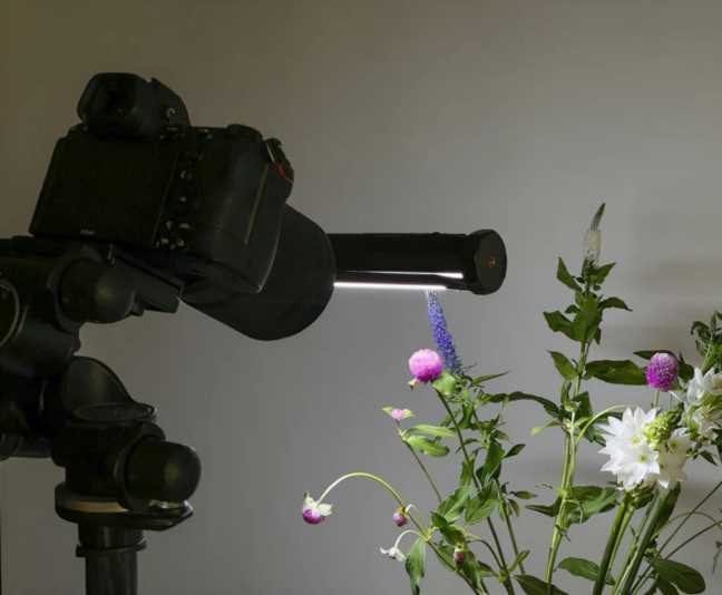 推开微观世界的大门 尼康Z 105/2.8微距镜头试用体验