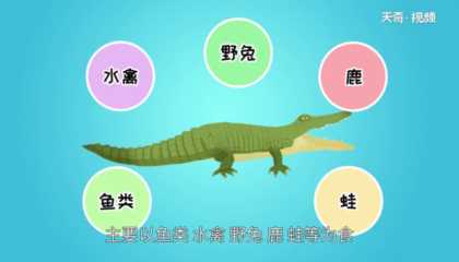 鳄鱼是什么动物 鳄鱼主要以什么为食