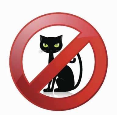 被全世界禁养的猫，世界十大禁养名猫为什么被禁养(附2023年最新排行榜前十名单)