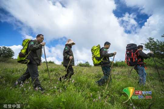 湖北神农架巡护员每年徒步10万公里 相当于绕地球赤道2.5圈