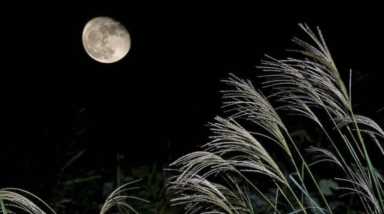 诗经中关于月亮的诗有哪些
