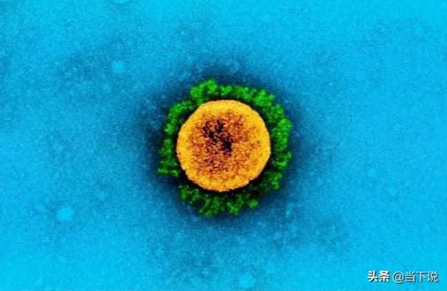 3年新冠病毒的进化史