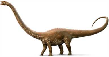 最大的恐龙是哪种恐龙（盘点史上体型最大的恐龙）