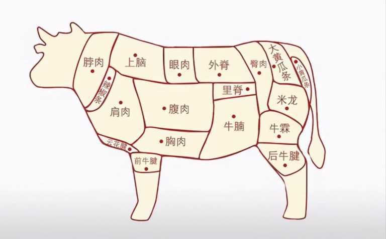 牛腩肉是哪个部位图解（“牛腱子”和“牛腩”的区别）