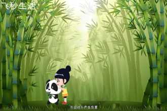 大熊猫吃人残忍图片（大熊猫为什么被视为中国的国宝）