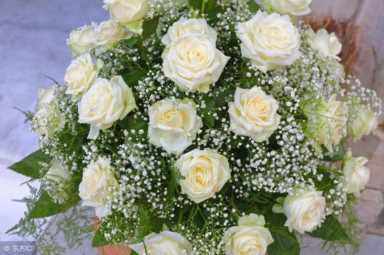 21朵白玫瑰的花语（白玫瑰花语每朵代表什么）(3)