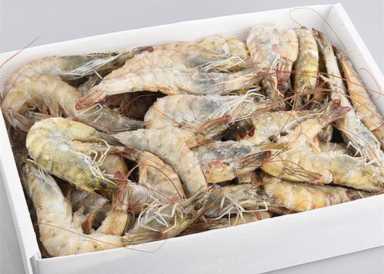 海白虾属于河虾海虾，海虾哪种虾营养价值最高