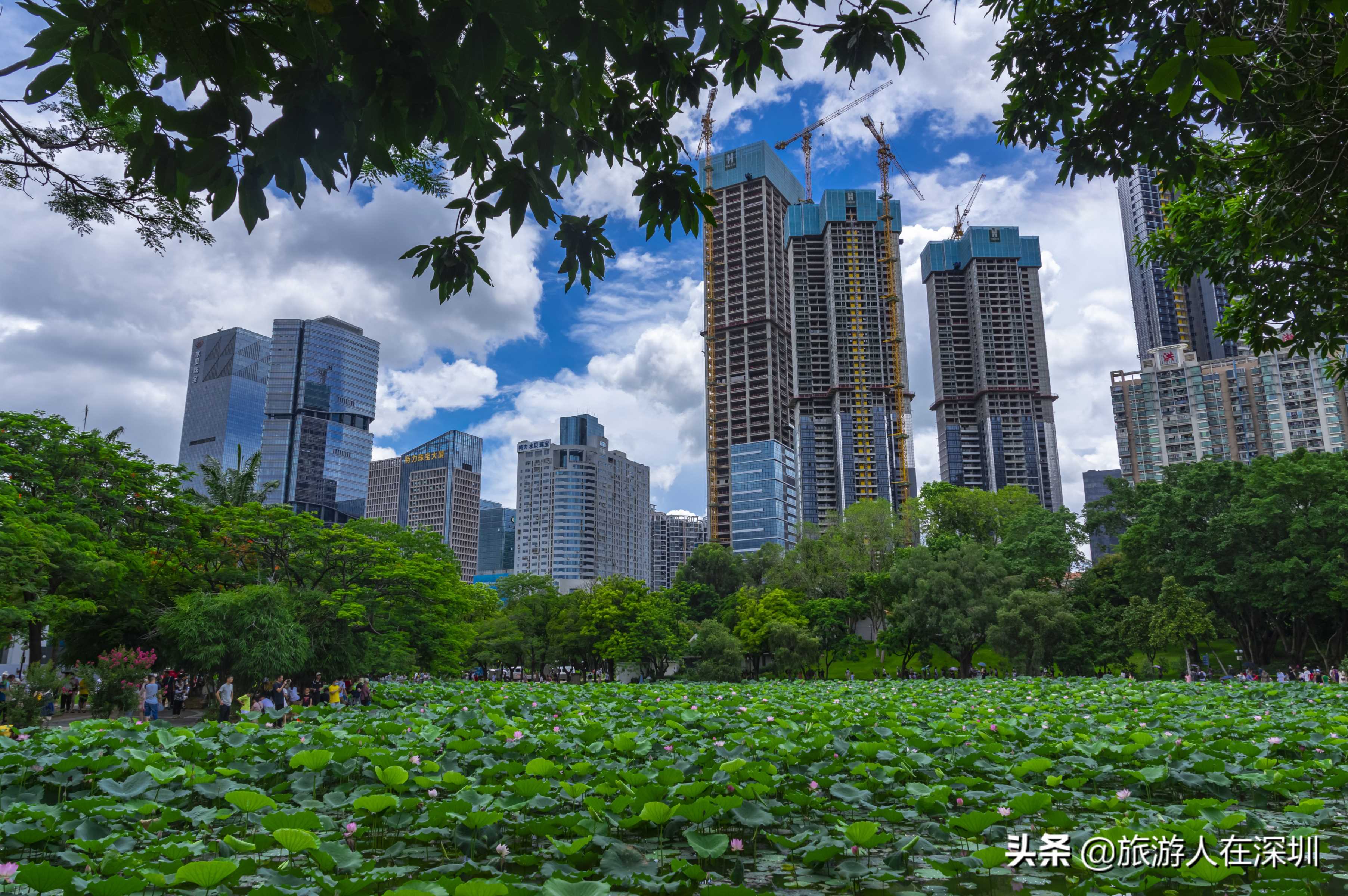 实拍深圳洪湖公园，作为一个网红生态公园，是休闲娱乐的最佳去处