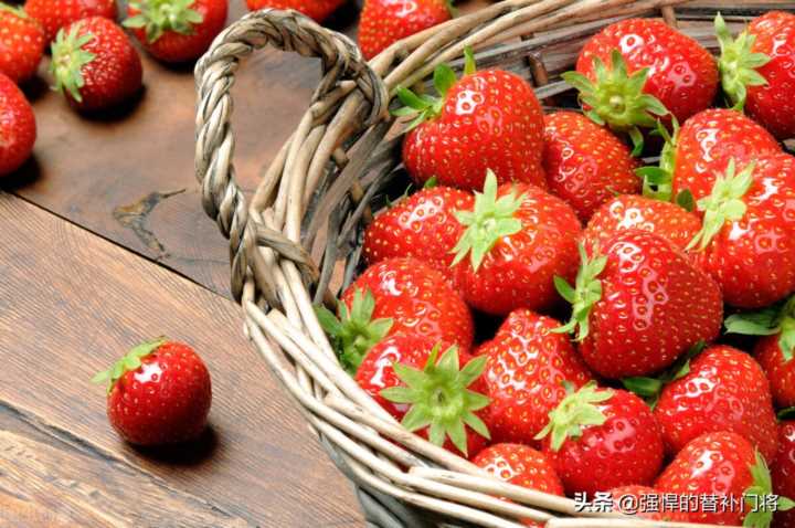 我们平常吃的草莓，其实是它的什么部位？蚂蚁庄园今日答案