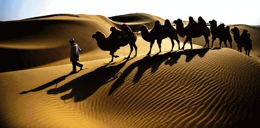 撒哈拉沙漠究竟有多深？若挖光沙子，底下会有什么？