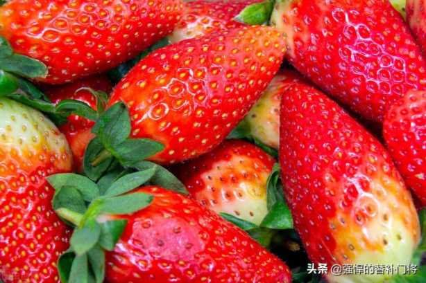 我们平常吃的草莓，其实是它的什么部位？蚂蚁庄园今日答案