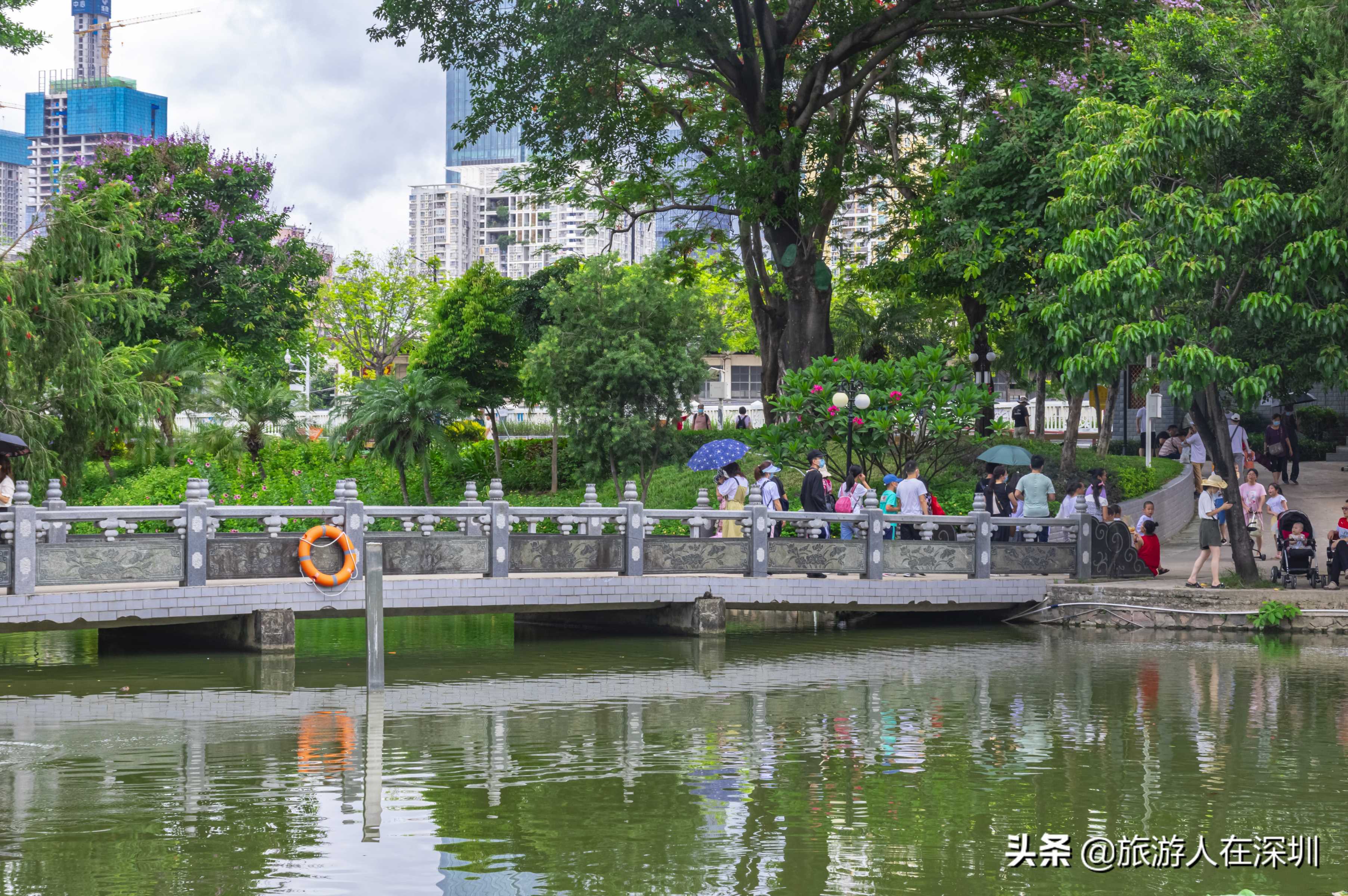 实拍深圳洪湖公园，作为一个网红生态公园，是休闲娱乐的最佳去处
