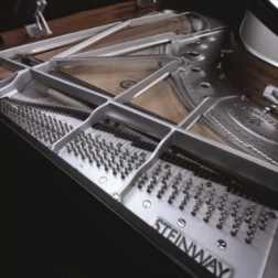 施坦威钢琴系列介绍，钢琴最贵的奢侈品牌施坦威上市