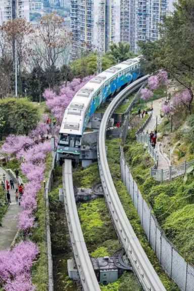 重庆地铁一号线旅游景点，重庆轻轨线路图高清图2022年