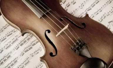 弦轴是什么，合适的小提琴琴弦怎么选