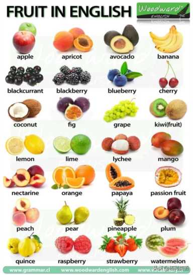幼儿启蒙英语水果单词， 100种水果名字