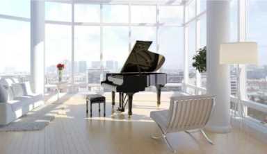 施坦威钢琴系列介绍，钢琴最贵的奢侈品牌施坦威上市