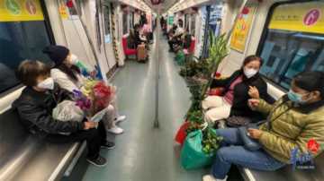 广州地铁5号线票价,年桔的花语和寓意