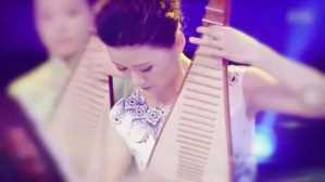 古代统称为琵琶的乐器包括，中华传统文化琵琶