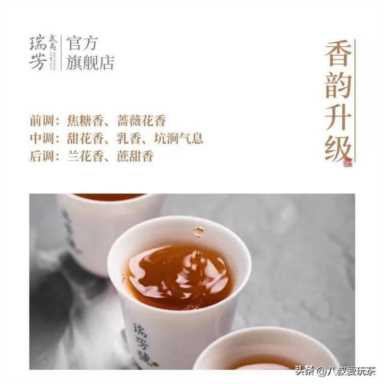 茶叶品牌哪个好喝，安吉白茶的特点和功效