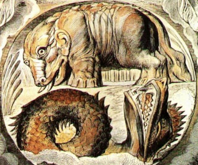 哥斯拉泰坦巨兽排名，哥斯拉2怪兽之王中的猛犸象