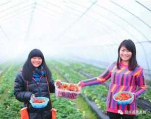 信丰西牛生态草莓采摘园，草莓的功效与作用及禁忌症