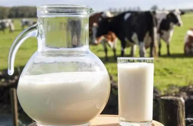 卫岗牛奶最好的系列是什么系列产品